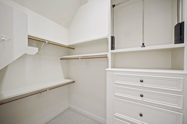 4009 Bellefontaine St, Houston, TX 77025 - view of spacious closet