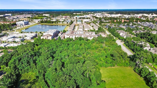 1120 Wellman Rd, Conroe, TX 77384
