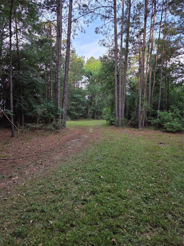 10.61ACRES Johnson Rd, Montgomery, TX 77356 - photo 2