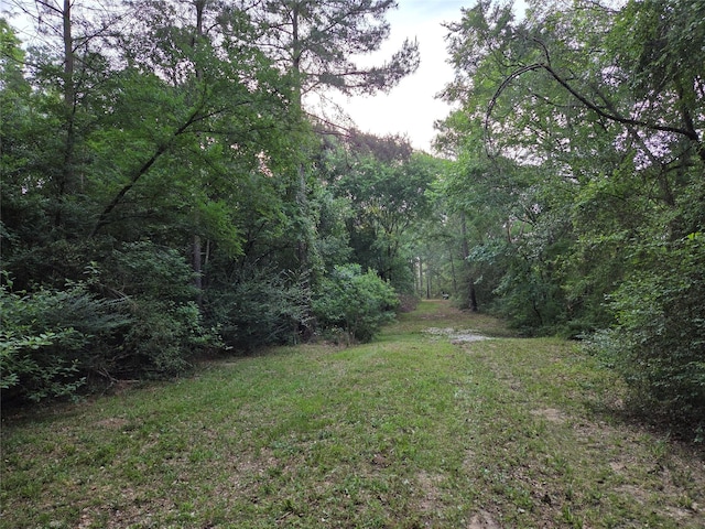 10.61ACRES Johnson Rd, Montgomery, TX 77356 - photo 1