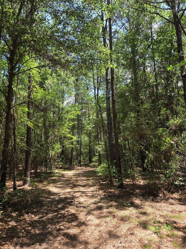 10.61ACRES Johnson Rd, Montgomery, TX 77356 - photo 3