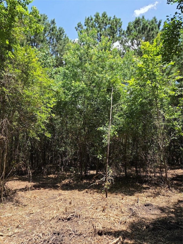 10.61ACRES Johnson Rd, Montgomery, TX 77356 - photo 4