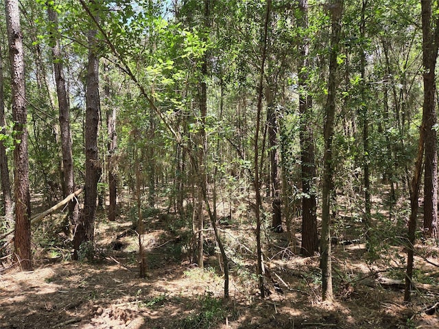 10.61ACRES Johnson Rd, Montgomery, TX 77356 - photo 5