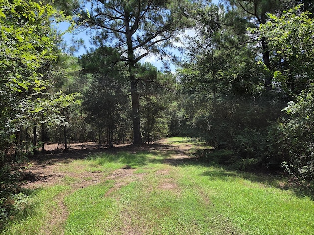 10.61ACRES Johnson Rd, Montgomery, TX 77356 - photo 6