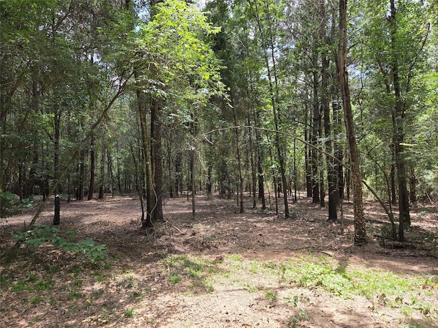 10.61ACRES Johnson Rd, Montgomery, TX 77356 - photo 8