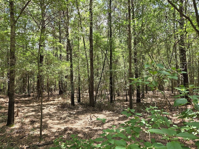 10.61ACRES Johnson Rd, Montgomery, TX 77356 - photo 10