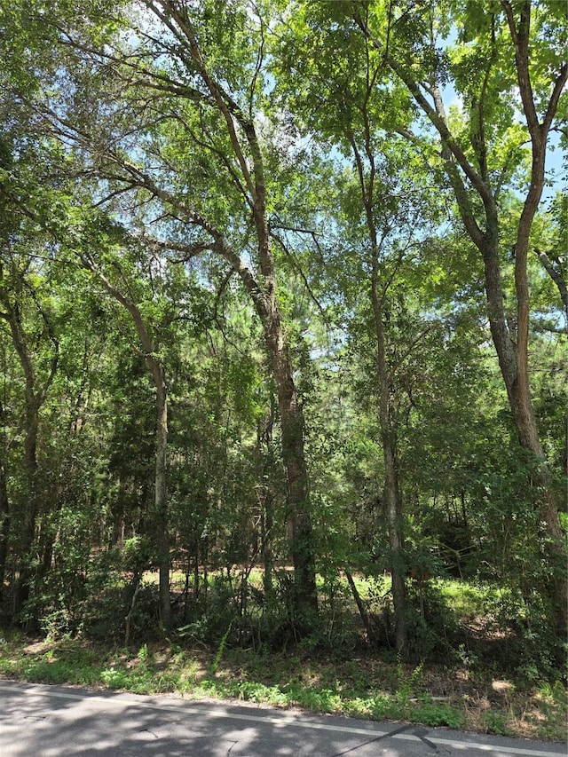 10.61ACRES Johnson Rd, Montgomery, TX 77356 - photo 9