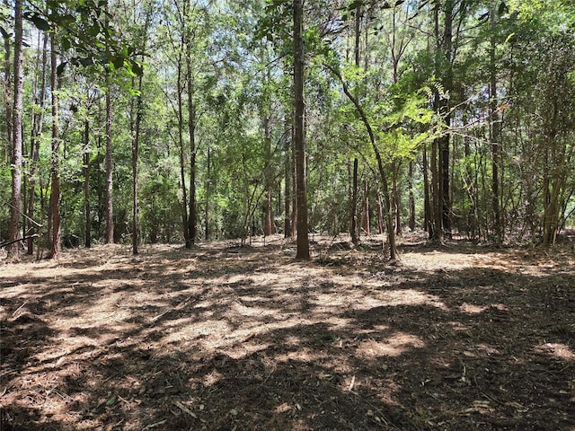 10.61ACRES Johnson Rd, Montgomery, TX 77356 - photo 11