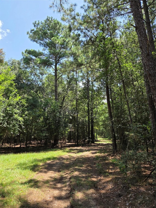 10.61ACRES Johnson Rd, Montgomery, TX 77356 - photo 14