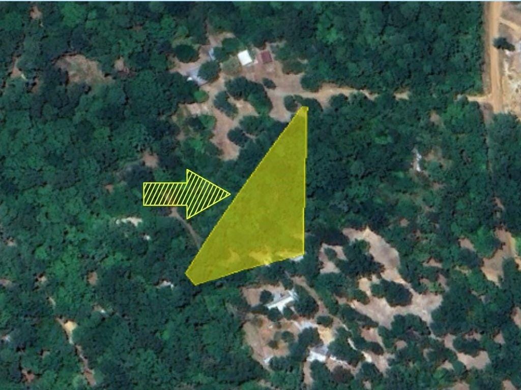 0 Hickory Dr, Etoile, TX 75944