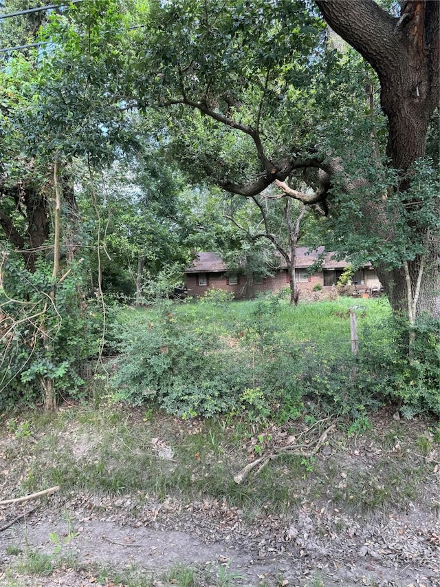13222 Ann Louise Rd, Houston, TX 77086 - view of yard