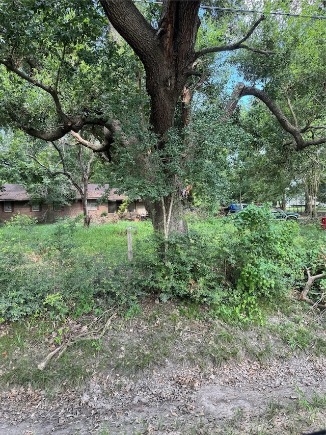 13222 Ann Louise Rd, Houston, TX 77086 - view of nature