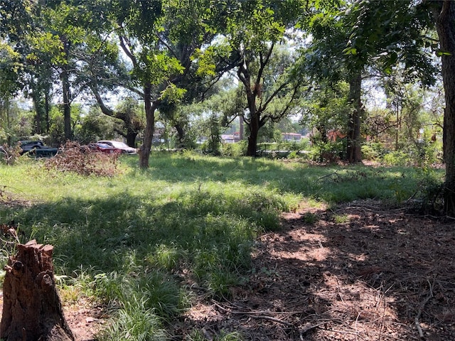 13222 Ann Louise Rd, Houston, TX 77086 - view of yard