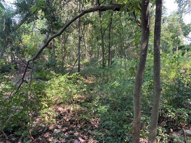 13222 Ann Louise Rd, Houston, TX 77086 - view of tree filled area