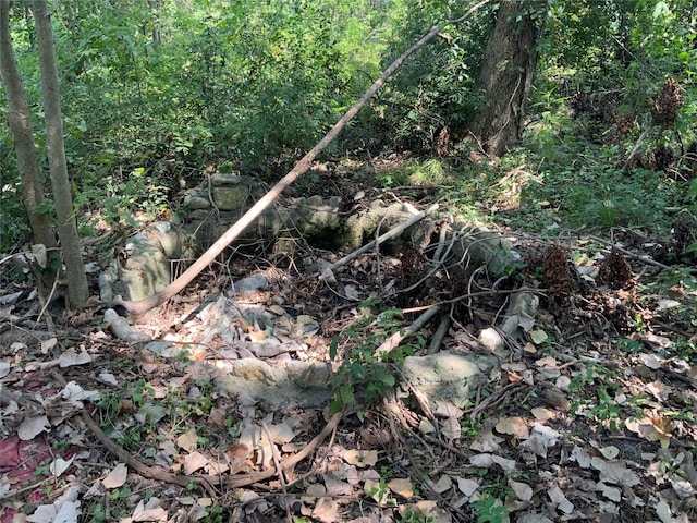 13222 Ann Louise Rd, Houston, TX 77086 - view of nature