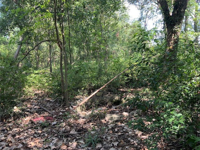 13222 Ann Louise Rd, Houston, TX 77086 - view of woods