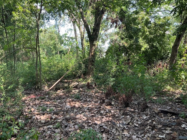 13222 Ann Louise Rd, Houston, TX 77086 - view of wooded area
