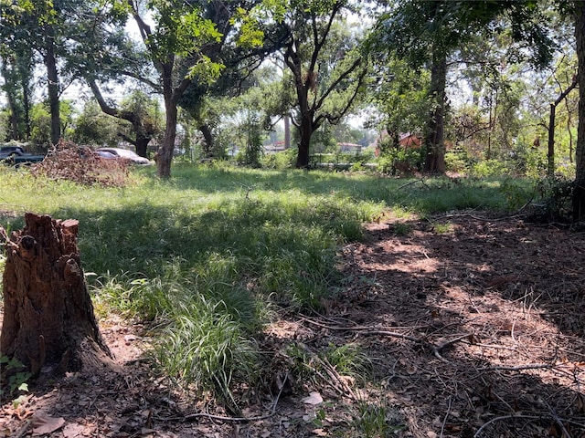 13222 Ann Louise Rd, Houston, TX 77086 - view of yard