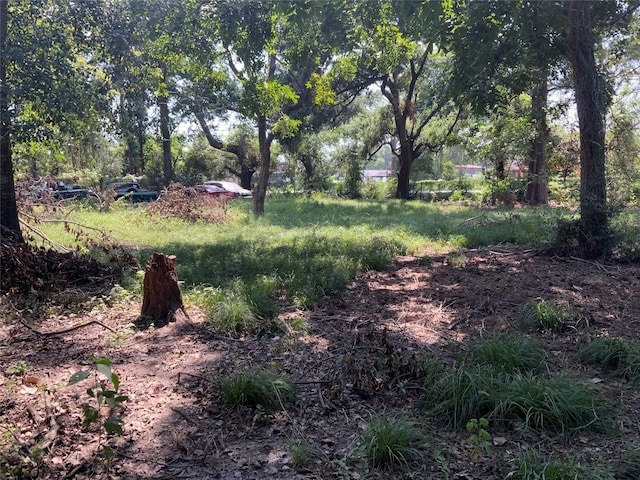 13222 Ann Louise Rd, Houston, TX 77086 - view of yard