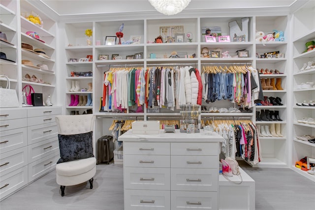 4821 1st St, Houston, TX 77504 - spacious closet with light wood-style floors
