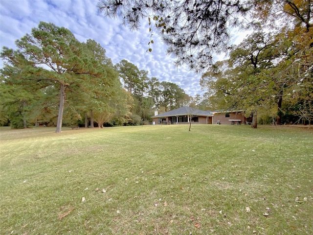 184 Birch, Trinity, TX 75862 - photo 49