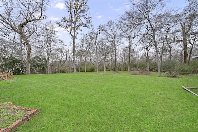 903 Layfair Pl, Friendswood, TX 77546 - photo 41