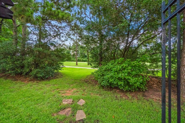 15 Bessdale Ct, The Woodlands, TX 77382 - photo 47