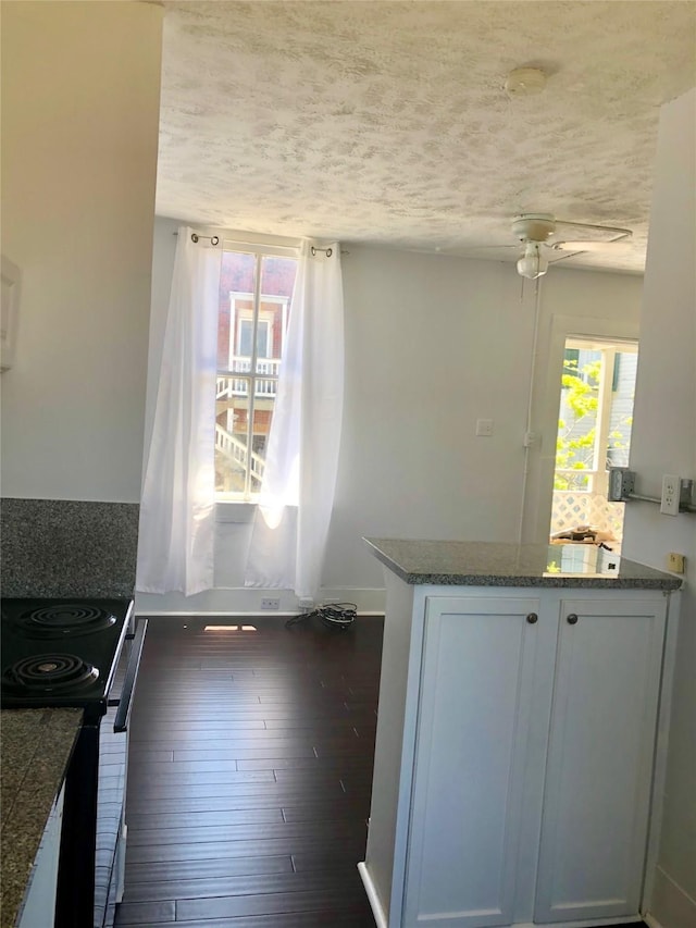 915 11th St, Galveston, TX 77550 - kitchen with healthy amount of natural light, electric range, a peninsula, a textured ceiling, and dark wood finished floors