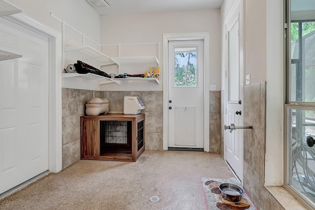 5011 Ontonagon Way, Spring, TX 77386