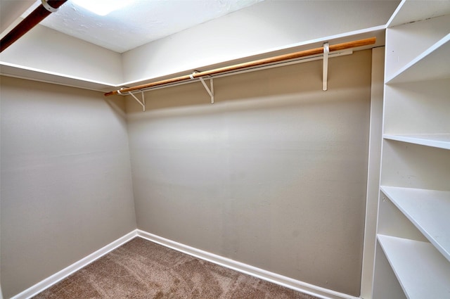 7354 Stone Pine Ln, Houston, TX 77041 - spacious closet with carpet flooring