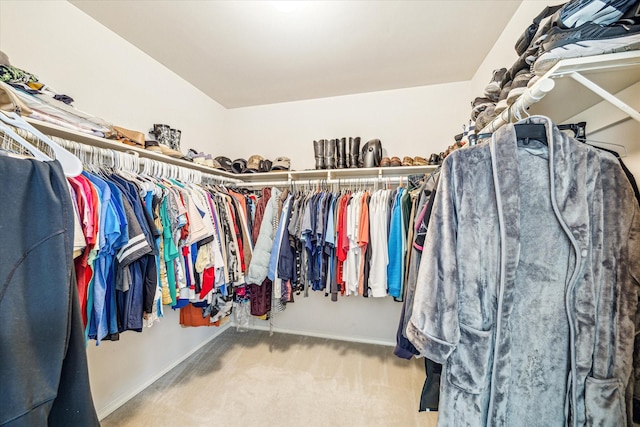 7110 Timber Post Ln, Humble, TX 77346 - walk in closet with carpet floors