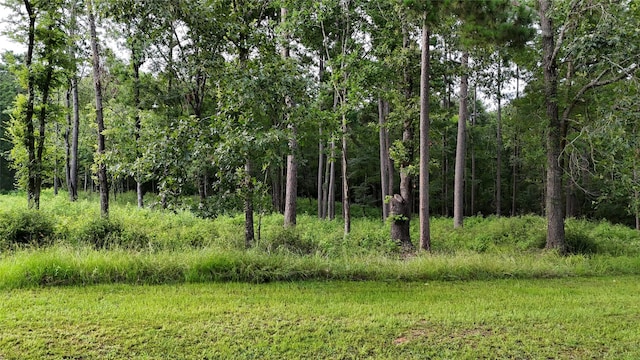 035 Naples Way, Huntsville, TX 77320
