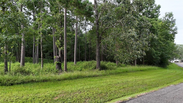 035 Naples Way, Huntsville, TX 77320