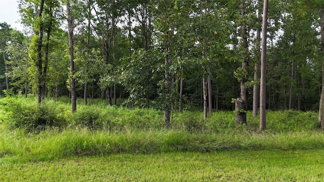 035 Naples Way, Huntsville, TX 77320