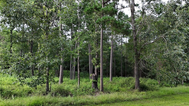 035 Naples Way, Huntsville, TX 77320