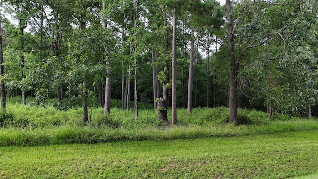 035 Naples Way, Huntsville, TX 77320