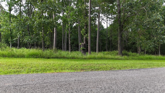 035 Naples Way, Huntsville, TX 77320
