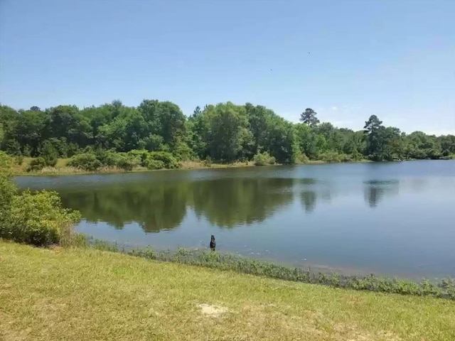 0 Lakeshore Dr, Hempstead, TX 77445