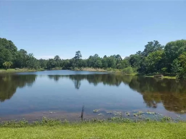 0 Lakeshore Dr, Hempstead, TX 77445