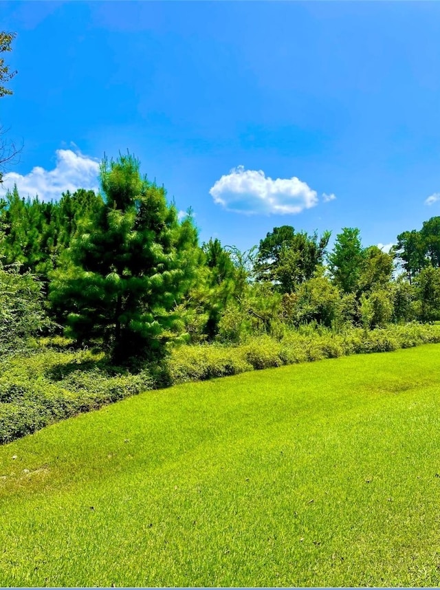 0 Lakeshore Dr, Hempstead, TX 77445