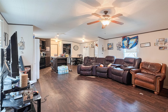 232 3rd St, Dickinson, TX 77539 - living area featuring dark wood-style flooring, a ceiling fan, and vaulted ceiling