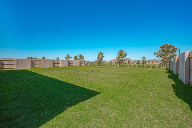 7615 Laurel Bloom Ln, Katy, TX 77493 - photo 41