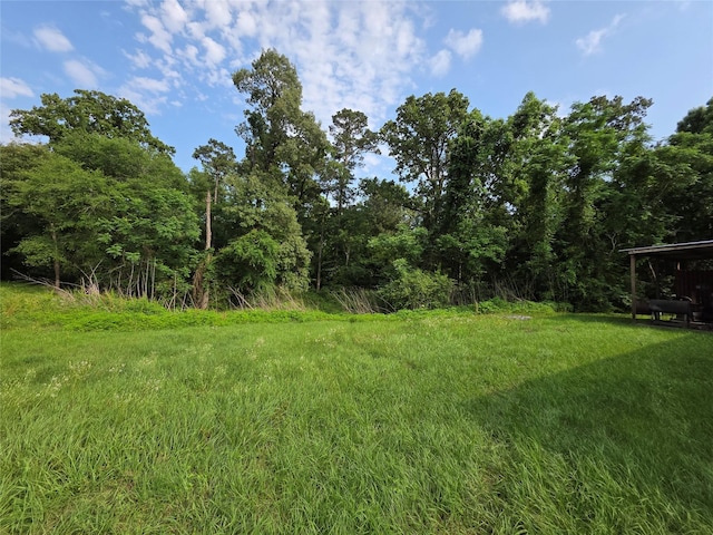 11552 US Highway 190 E, Point Blank, TX 77364 - photo 14