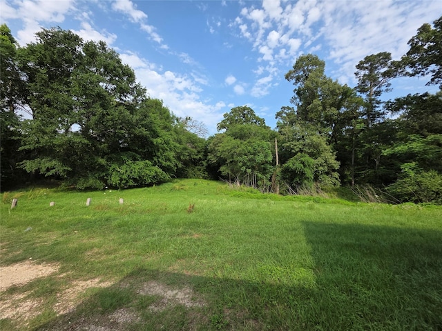 11552 US Highway 190 E, Point Blank, TX 77364 - photo 12