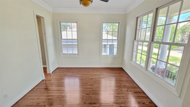 3524 Glen Haven Blvd, Houston, TX 77025 - photo 19