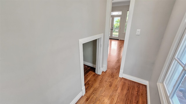 3524 Glen Haven Blvd, Houston, TX 77025 - photo 21