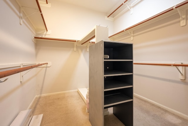 7907 Swan Hollow Ct, Houston, TX 77041 - walk in closet with carpet flooring