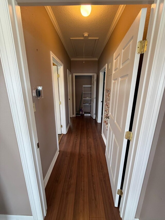 822 Seagull Rd, Sargent, TX 77414 - photo 8