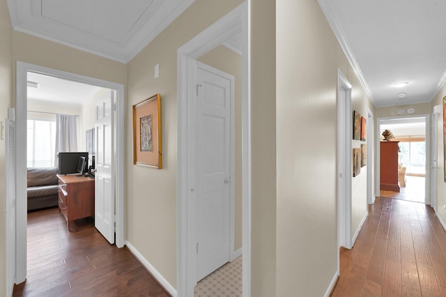 2117 Nantucket Dr, Houston, TX 77057 - hallway featuring healthy amount of natural light, crown molding, and dark wood-style flooring