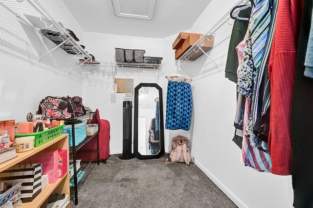29207 Legends Hill Dr, Spring, TX 77386 - spacious closet featuring carpet flooring and attic access